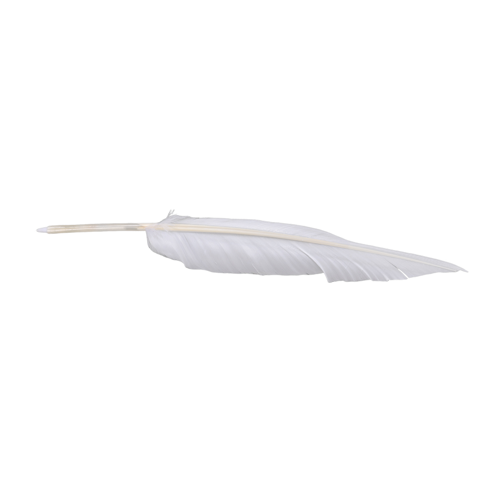 Anime Sousou of Frieren Cospla - đánh giá và giá Frieren Cosplay Prop